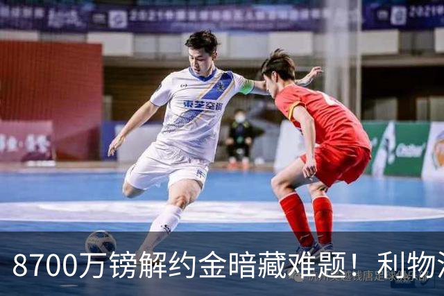 8700万镑解约金暗藏难题！利物浦四选一引援抉择，加克波或将离队